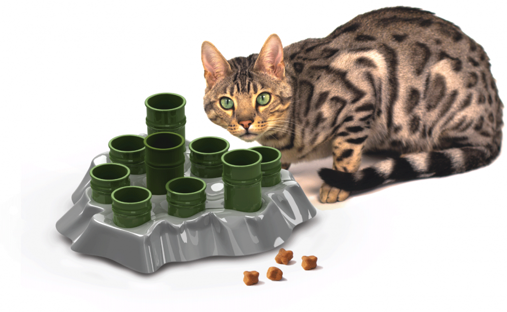 La Clinique Maguire recommande le bol Stimulo pour stimuler les chats en surplus de poids.